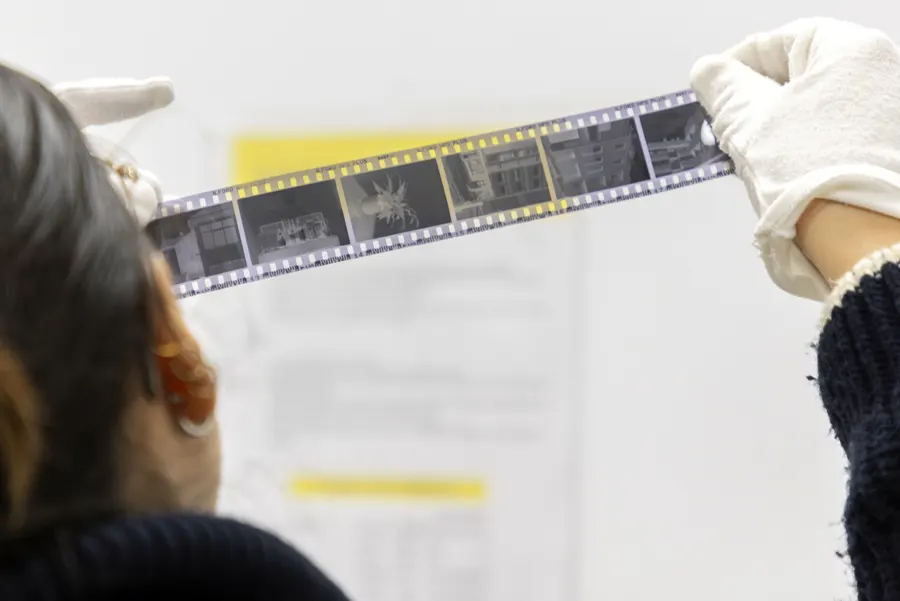 Workshop de Fotografia Analógica: Revelação